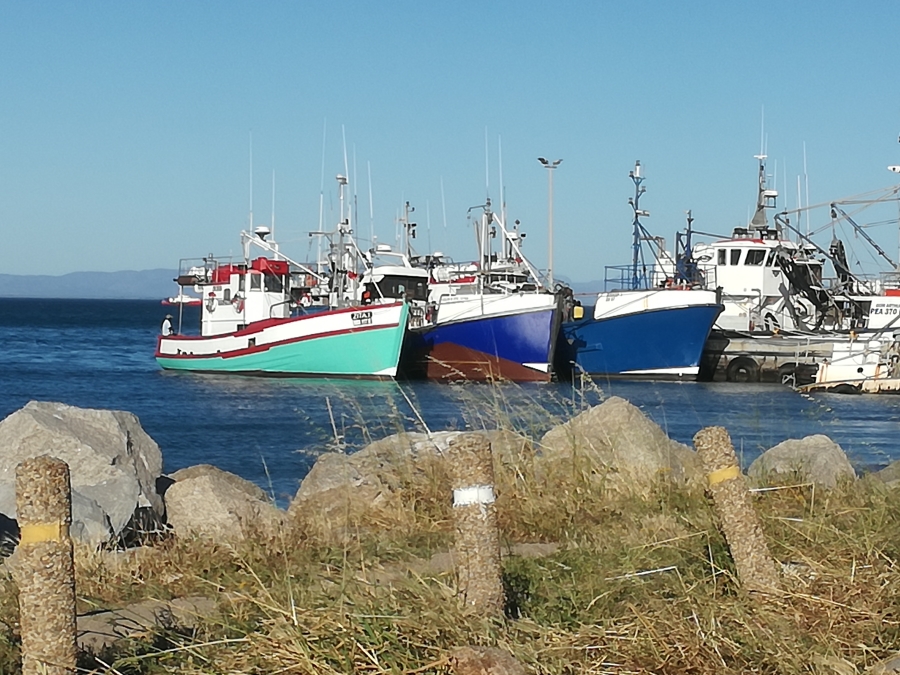 0 Bedroom Property for Sale in Steenbergs Cove Western Cape